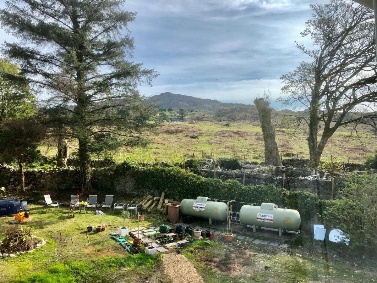 Spacious Garden Flat In Snowdonia National Park Brynkir Eksteriør billede